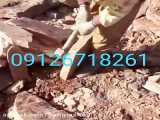  اجرای  سنگ  لاشه  09126718261 فروش سنگ  ورقه ای   تهیه  توزیع  سنگ