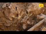 مومیایی اسکلت یک زن ۱۳۰۰ ساله در یزد