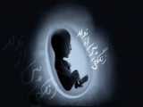 زندگی پس از تولد
