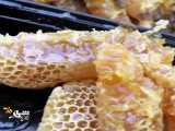 عسل ارگانیک و طبیعی 