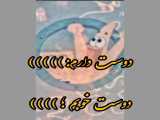 هفته بهترین دوست