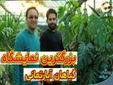 معرفی بزرگترین نمایشگاه سرپوشیده گیاهان آپارتمانی در خاورمیانه