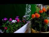 ولادت امام حسن مجتبی(ع) کربلایی کریم زینالزاده پخش از شبکه HADITV