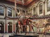 مدل ساخته شدن دایناسور ها به صورت واقعیت مجازی موزه برلین 