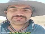 روش زاداوری برای سگ