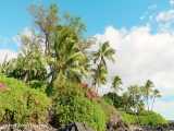 یک ساعت ویدیوی با کیفیت از طبیعت جزایر هاوایی | (ریلکسیشن در طبیعت 235)