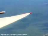 ویدیویی دیدنی از تلاش پرنده برای نشستن روی بال هواپیما