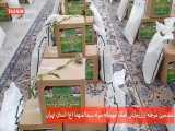 توزیع ۳۷ هزار بسته معیشتی در رزمایش کمک مومنانه استان تهران
