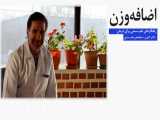 طب سنتی | درمان چاقی