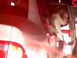 برکناری یک مدیر دولتی اهواز به خاطر سگ‌ گردانی با خودروی پلاک قرمز