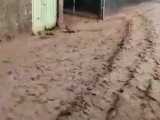 جاری‌شدن سیلاب در روستای حسینان دامغان 
