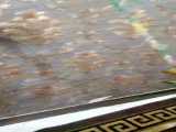 بازی طوطی کوتوله