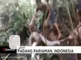 نبردی سخت بین مار عظیم الجثه و گروهی از مردان در اندونزی