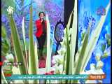 ترانه شاد   شیراز من   با صدای آقای پژواک پاکزاد - شیراز