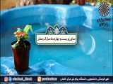 دعای روز بیست و چهارم ماه رمضان - طرح قرآنی جرعه - دانشگاه پیام نور مرکز کاشان