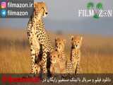 تریلر فیلم African Cats 2011