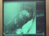 فیلمی از لحظه جابجایی جسد مثله شده بابک خرمدین توسط پدر و مادرش!