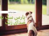 پارس سگ به صدای زنگ