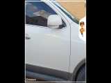 دیتیلینگ خودرو وراکروز در شیراز 