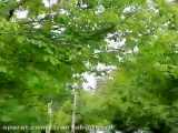 ایران زیبای من