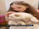 استوری جدید نیکافلاحی،سگ خریده،کپی شده از کانال:ovinfn