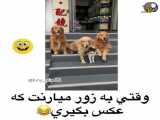 وقتی به زور میارنت که عکس بگیری