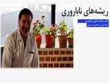 طب سنتی | ریشه‌های ناباروری