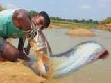 تکنیک شگفت‌انگیز ماهیگیری - صید بزرگترین ماهی