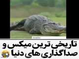 دوبله خیلی باحال