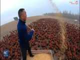 مردی که با 70000 مرغ و خروس در شبکه های اجتماعی غوغا کرده!