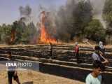 خسارت به ۲۷ هکتار از پارک ملی کرخه بر اثر آتش‌سوزی