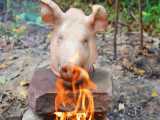 پختن کله خوک روی سنگ در جنگل | آشپزی بدوی (قسمت 25)
