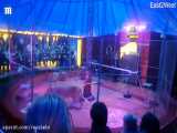 حمله شیر سیرک به مربی خود در روسیه