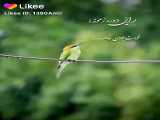 کلیپ پارت اول