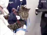 گربه ای که در ژاپن لقب رئیس پلیس را گرفت
