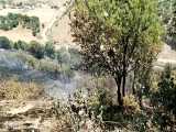 گزارش تصویری از اطفا آتش سوزی روستای بەڵاو 3