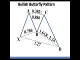 الگوی باترفلای  Butterfly  | وبسایت حسین عظیمی 