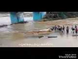 طغیان سیلاب رودخانه روی پل وشهر