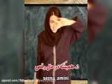 سرنا امینی . انواع دوست
