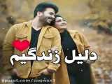 کلیپ عاشقانه دنبال دنبال