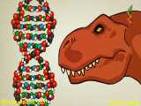 مولکول DNA چیه ؟ و چطور کار می کنه ؟؟؟