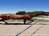 اسب فروشی مادیان تربرد ۲ساله