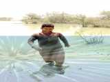Hakim