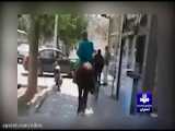 دستگیری فردی با اسب و لباس سبز در سطح شهر اصفهان