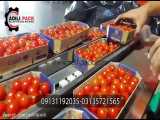 دستگاه بسته بندی گوجه گیلاسی