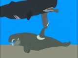 لویاتان مویل vs نهنگ اسپرم