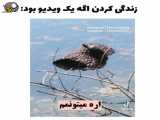کلیپ طنز در مورد زندگی
