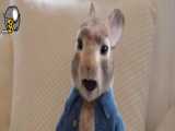فیلم پیتر خرگوشه ۲ با زیرنویس فارسی Peter Rabbit 2 2021