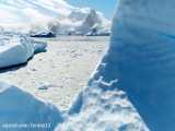 مستند هفت جهان در يک زمين؛ قسمت اول :قطب جنوب