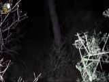شب در جنگل _ ویدیوی ترسناک از جستجوی پویا در جنگل های ازمیر